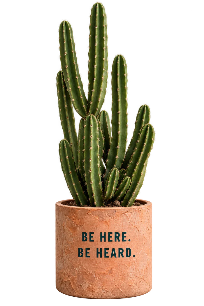 Be Here. Be Heard. cactus planter Tall green cactus in a terracotta planter printed with Be Here. Be Heard.