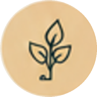 Built for local business Sprouting plant icon representing local business growth